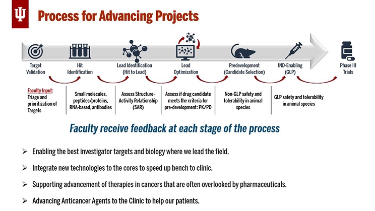 Infographic arrow at the top shows the drug development pipeline with milestones noted along the arrow.  
