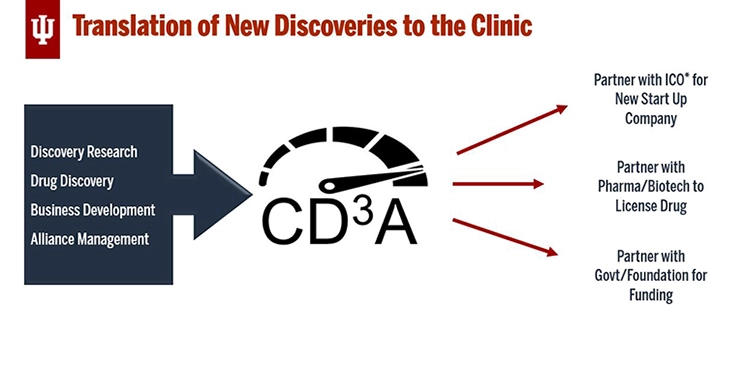 Infographic depicting the input and output for the CD3A.  Inputs are listed on the left and outputs are listed on the right, Inputs are Discovery Research, Drug Discovery, Business Development and Alliance Management.  Outputs are Partner with IU Innovation and Commercialization Office for New Start Up Company, Partner with Pharma/Biotech to License Drug, Partner with Govt/Foundation for Funding.