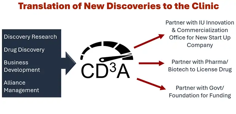 Infographic depicting the input and output for the CD3A.  Inputs are listed on the left and outputs are listed on the right, Inputs are Discovery Research, Drug Discovery, Business Development and Alliance Management.  Outputs are Partner with IU Innovation and Commercialization Office for New Start Up Company, Partner with Pharma/Biotech to License Drug, Partner with Govt/Foundation for Funding.